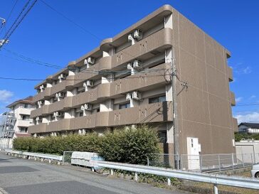 ドリームスプルース